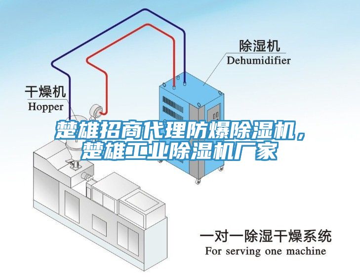 楚雄招商代理防爆除濕機，楚雄工業除濕機廠家